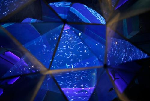 В Гонконге открылся крупнейший аквариум планеты