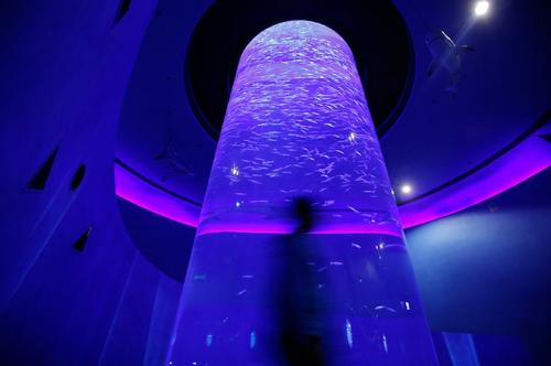 В Гонконге открылся крупнейший аквариум планеты