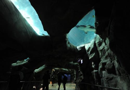 В Гонконге открылся крупнейший аквариум планеты