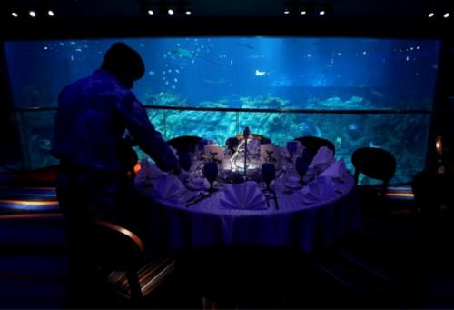 В Гонконге открылся крупнейший аквариум планеты