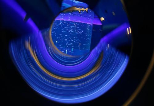 В Гонконге открылся крупнейший аквариум планеты