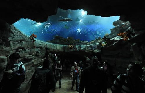 В Гонконге открылся крупнейший аквариум планеты