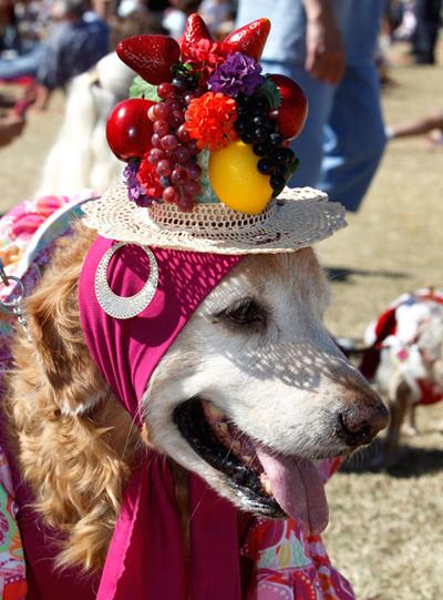 Всемирный день книги рекордов Гинесса
