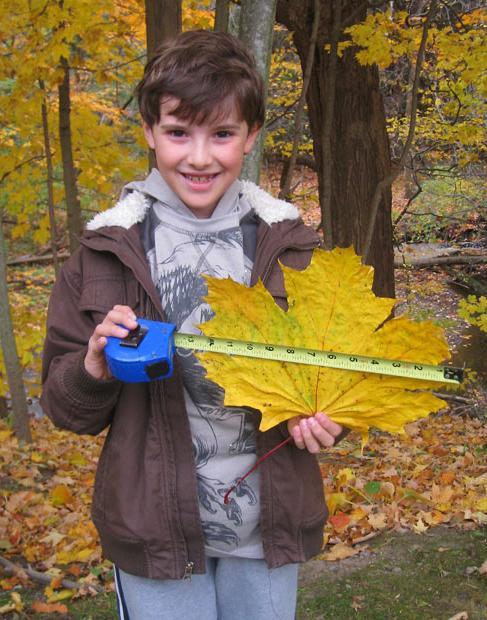 Всемирный день книги рекордов Гинесса