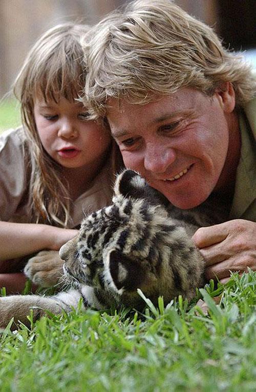 Трюки «Охотника за крокодилами»