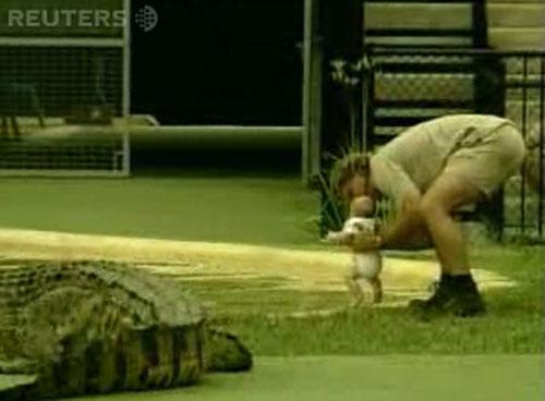 Трюки «Охотника за крокодилами»