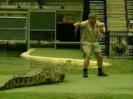 Трюки «Охотника за крокодилами»