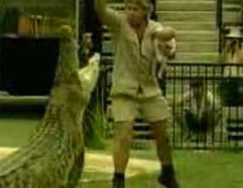 Трюки «Охотника за крокодилами»