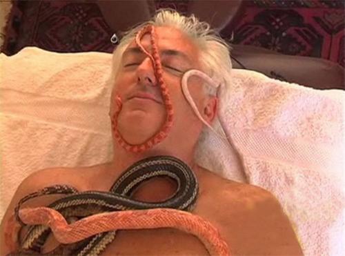 В Израиле практикуют массаж со змеями