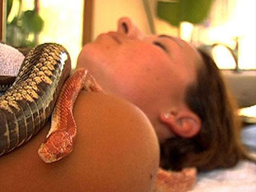 В Израиле практикуют массаж со змеями
