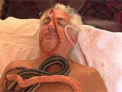 В Израиле практикуют массаж со змеями