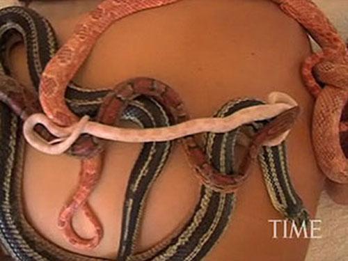 В Израиле практикуют массаж со змеями