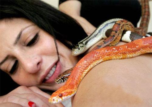 В Израиле практикуют массаж со змеями