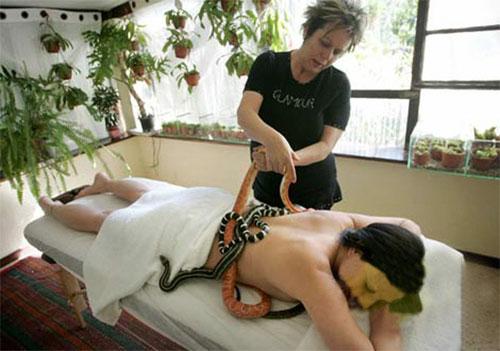 В Израиле практикуют массаж со змеями