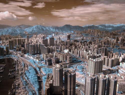 Лучший садово-парковые фотографии