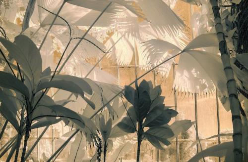 Лучший садово-парковые фотографии