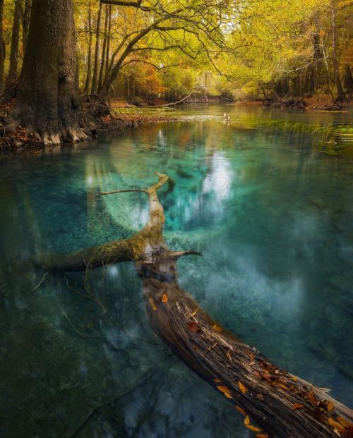 Лучший садово-парковые фотографии