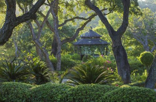 Лучший садово-парковые фотографии