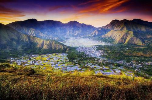 Лучший садово-парковые фотографии