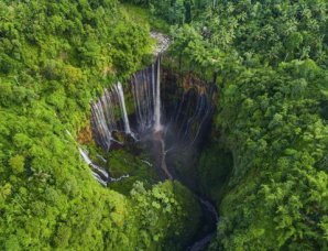 Лучший садово-парковые фотографии
