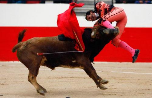 В Лас-Вегасе прошла бескровная коррида