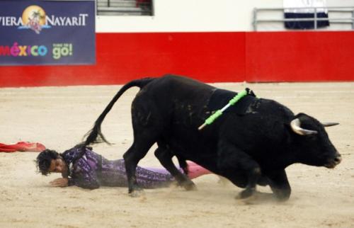 В Лас-Вегасе прошла бескровная коррида