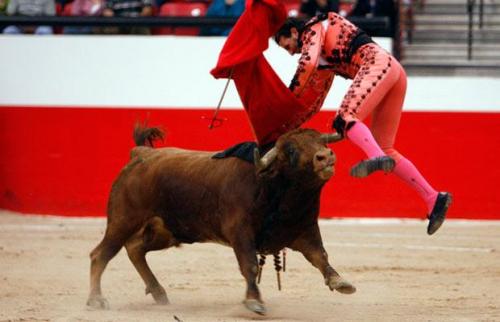 В Лас-Вегасе прошла бескровная коррида