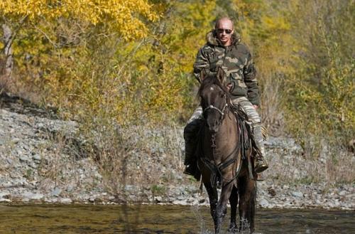 Путин поразил западные СМИ фотосессией с лошадью