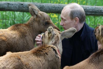 Путин поразил западные СМИ фотосессией с лошадью