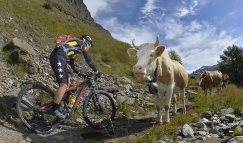 Лучшие спортивные фото 2014 года