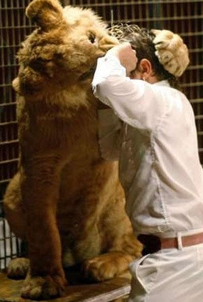 На арене — 8-летний  укротитель хищников!