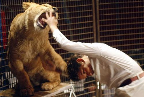 На арене — 8-летний  укротитель хищников!