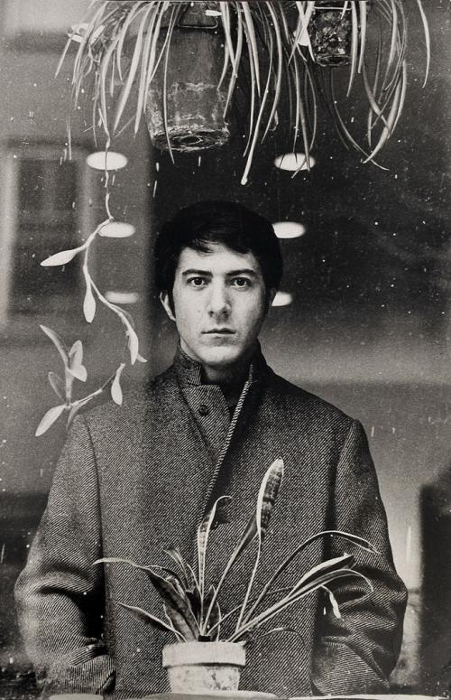 Звезды в объективе Терри О\’Нилла