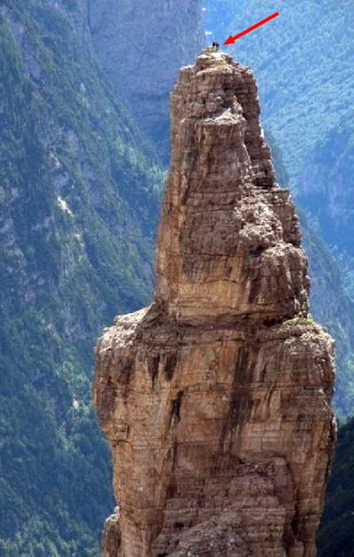 Козлы-скалолазы шокируют своими навыками