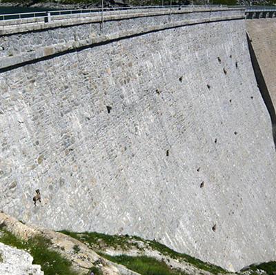 Козлы-скалолазы шокируют своими навыками