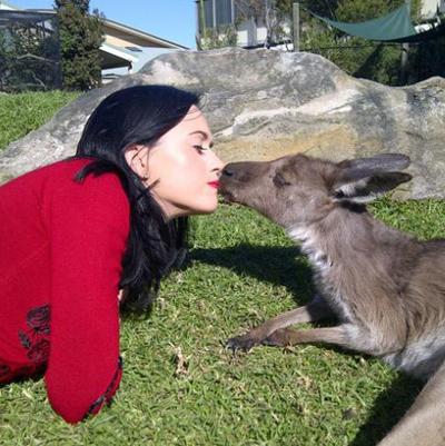 Самые смешные и неловкие поцелуи звезд