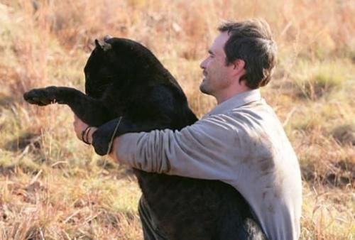 Бывший физиолог стал другом хищникам в дикой природе