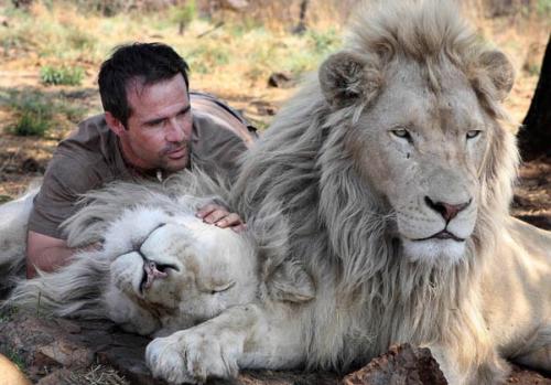 Бывший физиолог стал другом хищникам в дикой природе