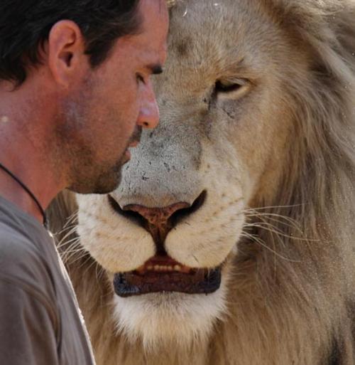Бывший физиолог стал другом хищникам в дикой природе