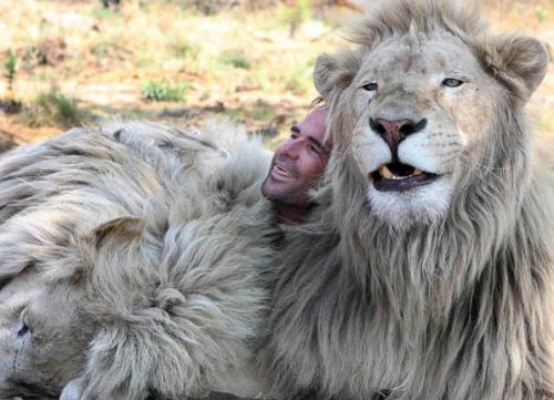 Бывший физиолог стал другом хищникам в дикой природе