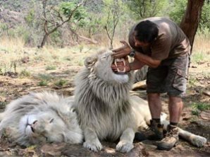 Бывший физиолог стал другом хищникам в дикой природе