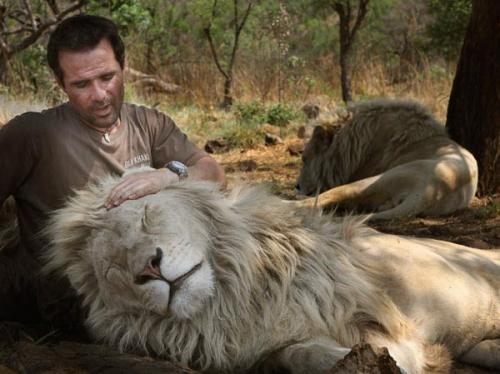 Бывший физиолог стал другом хищникам в дикой природе