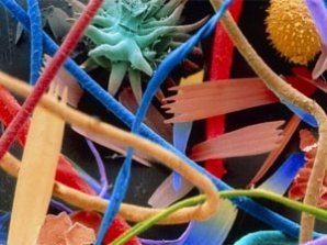 Удивительные макрофотографии  среды обитания