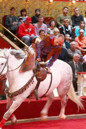 С российскими звёздами снова… цирк