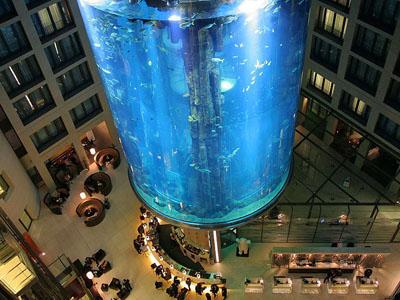 Гигантский аквариум в отеле впечатляет постояльцев
