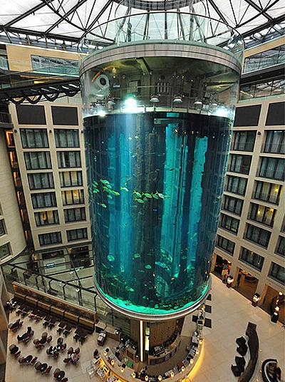 Гигантский аквариум в отеле впечатляет постояльцев