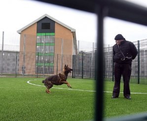 Тюрьма с роскошными условиями в Великобритании