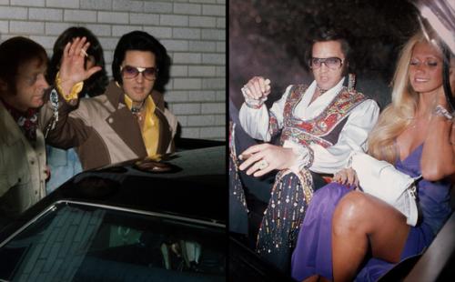 Крестный отец культуры папарацци представляет…