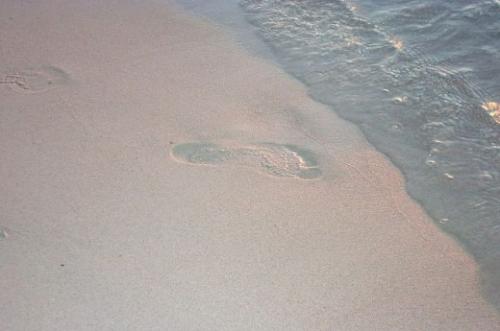 Самые загадочные исчезновения в истории