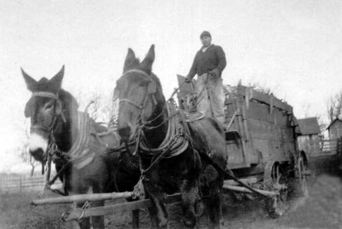 Самые загадочные исчезновения в истории